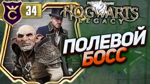 ПЕРВЫЙ ПЕЧАЛЬНО ИЗВЕСТНЫЙ ВРАГ! Hogwarts Legacy #34