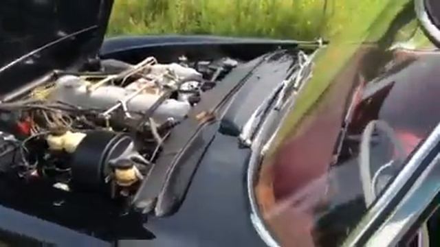 1965 230sl Black 040 Star motors 113042006365 2
