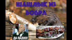 Дикая кухня #1 Шашлык из бобра