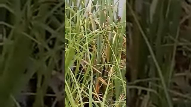 На рыбалке жена угарает смотреть онлайн