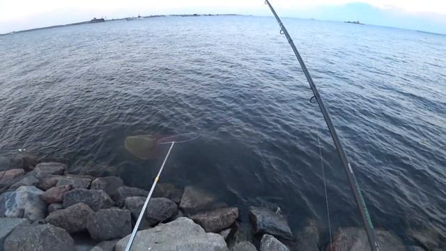 ЛОВИМ ВОЗЛЕ ПОДВОДНЫХ ЛОДОК. ЛЕЩИ НА ФИДЕР. ФИНСКИЙ ЗАЛИВ. ЮЖНАЯ ДАМБА смотреть онлайн