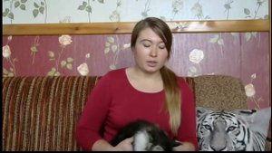 Котенок. Первые дни дома.