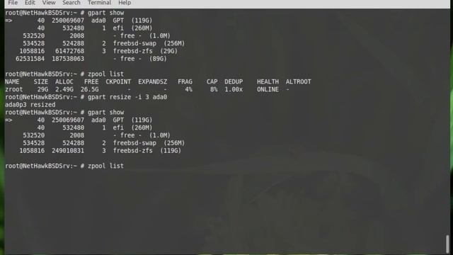 Resize (Extend/Grow) ZFS Partition on FreeBSD Server (#1) смотреть онлайн
