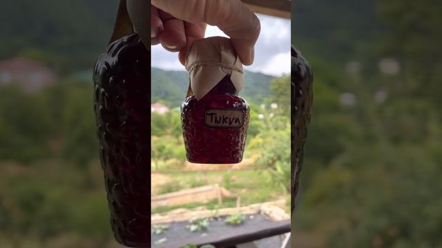 Самое полезное масло для еды. Сыродавленное масло тыквы, кунжута, льна и подсолнечное. смотреть онлайн