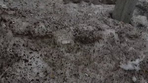 Липяги, приключения на станции Липяги под Самарой