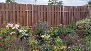 Мой новый цветник из многолетников июнь, июль 2023#цветникнепрерывногоцветения#многолетниецветы#