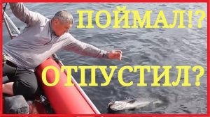 ТРОФЕЙНЫЙ ТАЙМЕНЬ на ГОРНОМ ОЗЕРЕ. Видео самой опасной рыбы Сибирских рек.