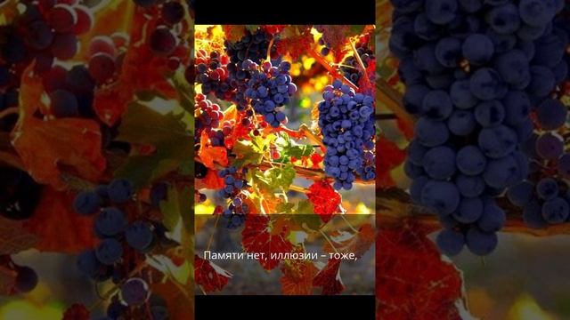 Осенний закат смотреть онлайн