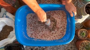 Грунт для суккулентов по рецепту Мастера Георгия