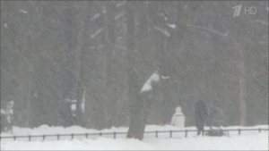 В Санкт-Петербурге готовятся к приходу сразу двух сильнейших снежных циклонов