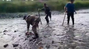 Рыбачим палками