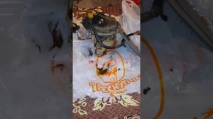 киа не заводится в мороз что делать