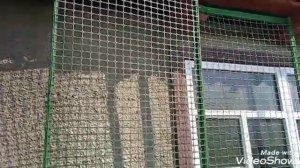 Опора для лиан.Высадка кобеи