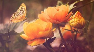 Экхарт Толле в Москве