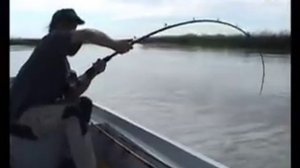 Вываживание огромного сома