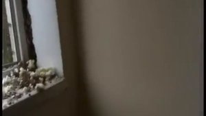 как отмывают на ремонте подъездов