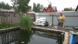 Купил малька белуги