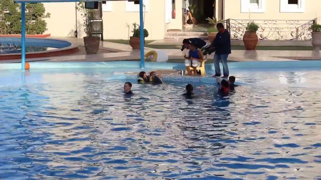 Дельфин целует Настю смотреть онлайн