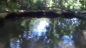 Травертиновый источник в Ставрополе