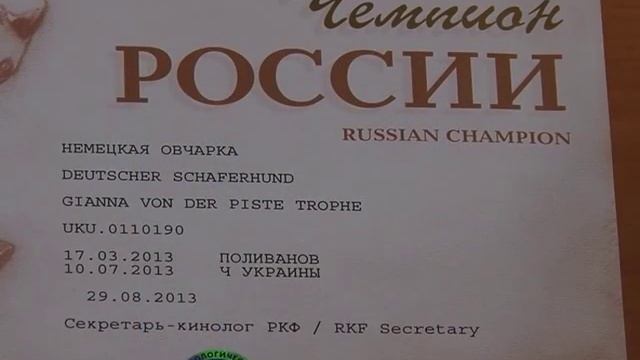 Немецкая овчарка Джианна смотреть онлайн