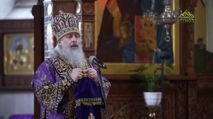 Наставление на Великий пост. Митрополит Святогорский Арсений. Часть 2