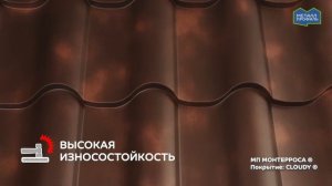 Как выглядят металлочерепица и профлист в матовых покрытиях?