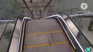 три дня живу в транзитной  зоне аэропорта  Белграда