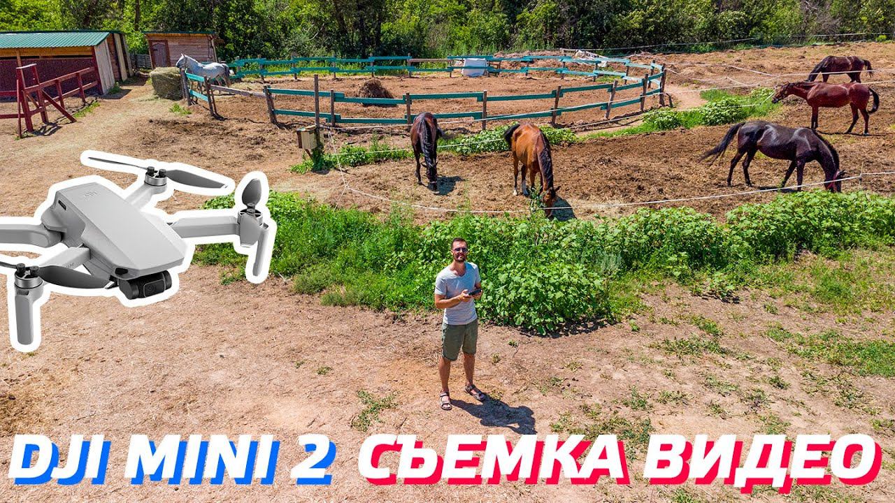 DJI MINI 2 СЪЕМКА ВИДЕО НА ДРОН / АЭРОСЪЕМКА В ВОЛГОГРАДЕ КОННОГО КЛУБА GREEN HORSE / ВЛОГ SONY A7S3