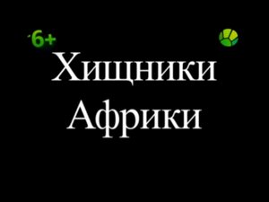 Легенды дикой природы. Хищники Африки