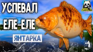 RF4 УДИЛИЩАМИ КАК ДИРИЖЁР РАБОТАЛ #рр4