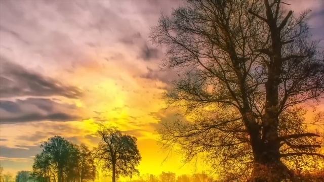 После развода Вика с малышом оказалась на улице, она поклялась отомстить мужу... смотреть онлайн