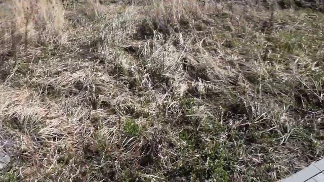 Устройство дорожек  -Мощение брусчаткой - Зима прошла смотрим что стало.