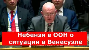 Небензя в ООН о ситуации в Венесуэле