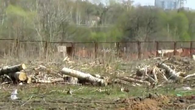 Мамонтовка СТРОЙБЕСПРЕДЕЛ