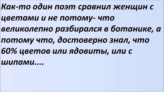 Лучшие смешные анекдоты Выпуск 951 смотреть онлайн