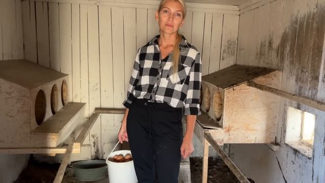 ВЕЧЕР В ДЕРЕВНЕ/НЕ БЫЛИ 2 НЕДЕЛИ/ЧТО С ДОМОМ, ОГОРОДОМ смотреть онлайн