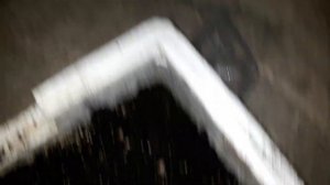 Червь с двумя хвостами. Дендробена мутант