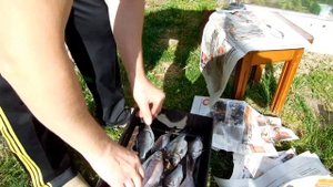 Лещ,Карась,горячего копчения,на даче,или как правильно закоптить рыбу...
