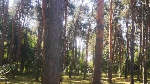 #КРАСНОДАР?Обзор парка СОЛНЕЧНЫЙ ОСТРОВ?Куда сходить с детьми в Краснодаре