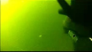 Подводная охота в Красноярском море  часть вторая