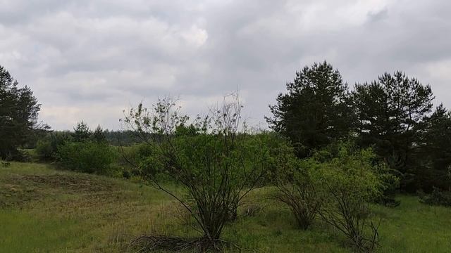 Полнолуние 26 мая 2021. Кровавая луна . Суперлуние. Полное лунное затмение.Запреты и предостережени