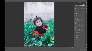 camera raw filter in photoshop cc presets 2023