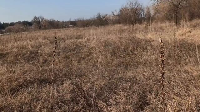 Новолуние 23 февраля 2020 . ЗАГАДОЧНОЕ ФЕВРАЛЬСКОЕ НОВОЛУНИЕ . ЧТО НЕЛЬЗЯ ДЕЛАТЬ ... смотреть онлайн