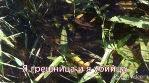 свет - чтобы жить