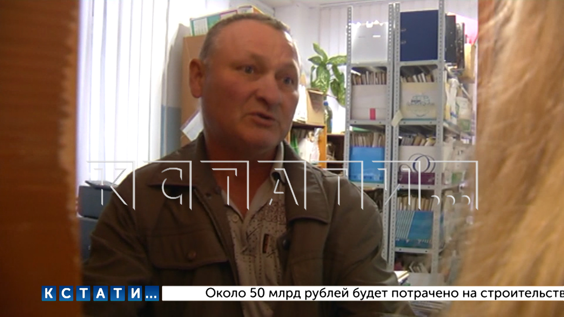 Сотрудник Росреестра от злости казнил собаку соседки в соседском сарае