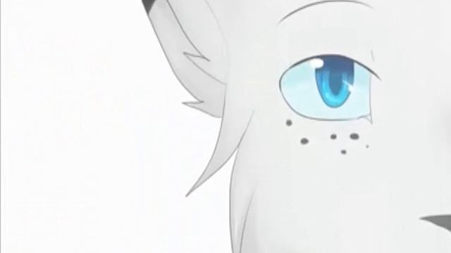 Коты воители - сын луны клип