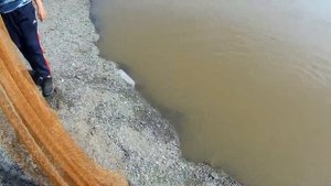 Рыбалка с Детворой на Кастинговую Сеть на Амуре.