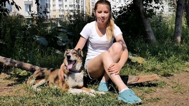 Взять собаку из приюта - Ужас или Счастье?
