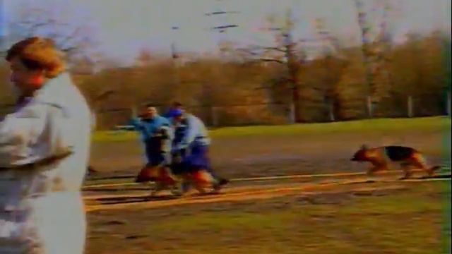 Выставка немецких овчарок Радонеж-1997 смотреть онлайн