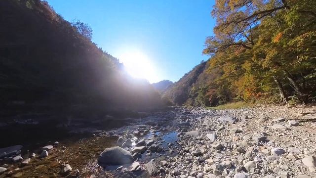 さんちゃとみかんの匹見峡紅葉ツーリング〜2023秋〜 смотреть онлайн